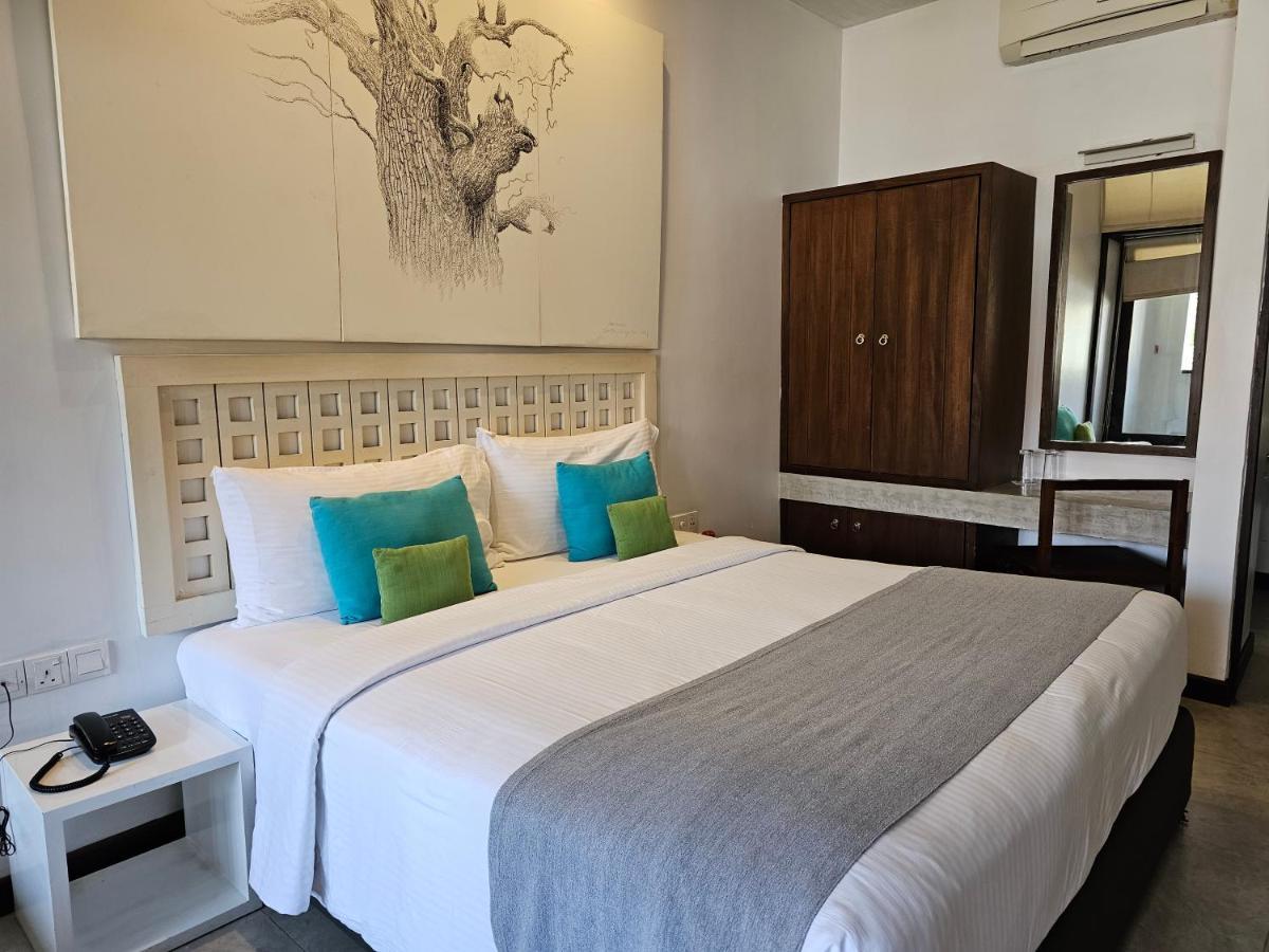 City Beds Negombo Eksteriør billede